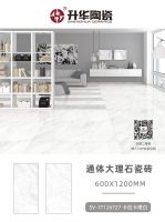升华陶瓷600x1200mm通体大理石瓷砖，只为质感而生