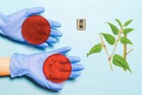 梅雨季，秒破“敏感”职场中年人