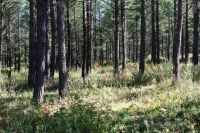 莫干山健康板材，何须众里寻他千百度？