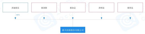 起底鼎丰集团：金融玩家洪明显