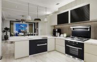 从0到20亿 这个品类藏着厨电行业下一个风口