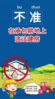 图解农村乱占耕地建房“八不准”