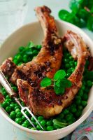 高端厨房电器品牌库博仕电磁炉 唤醒温馨家味