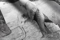 新浪精选：汇明—背景墙《梦想世界》