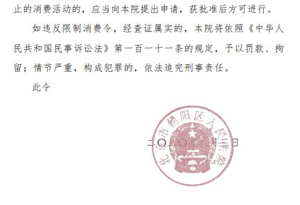 山水文园及法人李艳敏被发限制消费令-中国网地产