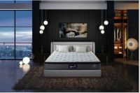 穗宝洞悉家居消费新需求，加速推动战略落地