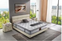 穗宝洞悉家居消费新需求，加速推动战略落地