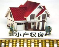 专家曾建议，有条件允许市民农村买房，刚刚新规，有种房子别买了