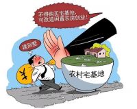 专家曾建议，有条件允许市民农村买房，刚刚新规，有种房子别买了