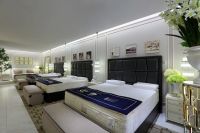 大湾区将迎来“萌宠”新地标 舒达床垫前海旗舰店8.22启幕