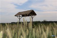 来自项目一线的报道|东津渡教育康养度假区:叫响黄河文化品牌