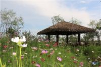 来自项目一线的报道|东津渡教育康养度假区:叫响黄河文化品牌