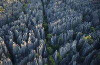 石林被品牌房企融创看上,未来价值将腾飞,房价绝不止3000多