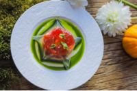 德国唯宝携手名厨打造夏日盛宴，以“植”觉匠心慢享本真生活