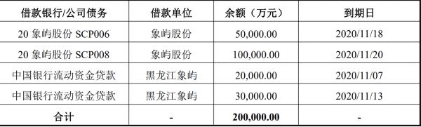 厦门象屿20亿元可续期公司债券已获上交所受理-中国网地产