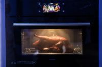 千人烤鸭挑战，有了老板蒸烤一体机，人人都是大厨