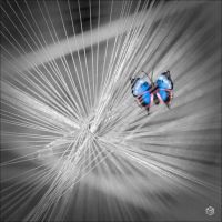 买房请回答④丨身背两套房的贷款和借款 30岁的我嫁给爱情