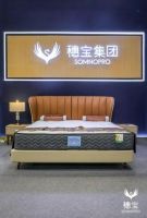 穗宝集团强势入驻深圳家具展，现场人气火爆