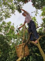 省级现代农业产业园&ldquo;龙头&rdquo;集聚效应显现,&ldquo;汕字号&rdquo;农产品驰骋