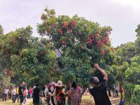 省级现代农业产业园&ldquo;龙头&rdquo;集聚效应显现,&ldquo;汕字号&rdquo;农产品驰骋