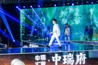 当瑞典匠心遇见盛京风华  中瑞鼎峰品牌发布会盛世开启