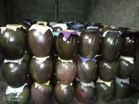 龙门县德胜双蒸酒坊——发扬传统工艺