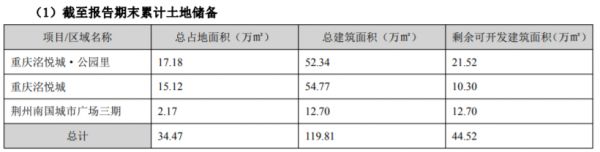 南国置业：上半年净亏损2.99亿元-中国网地产