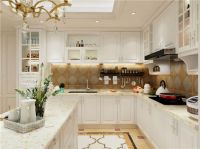 领尚橱柜坎贝尔新品上市，让梦想厨房更“社交”