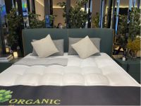 甜秘密寝具杨振：全国布局招商加盟 丰富线下沉浸式体验