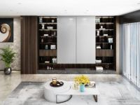 轻奢电视柜，成功男士的选择