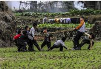 爱同在，心同行｜“99公益日”多家机构联合发起致敬“新佛山人”公益系列活动