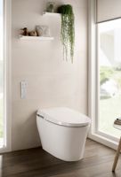 健康守护者，Roca乔治亚智能座厕