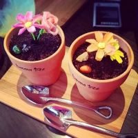 金辉818金粉节 | 粉丝狂欢节,Get省钱攻略!