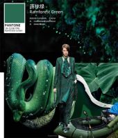 【YASLAN】2020秋冬流行色彩趋势（二）