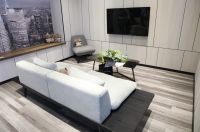 地墙一体化成果展示 大自然家居惊艳亮相上海地材展