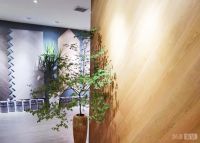 启好王加磊：甄选欧洲家居优品 做美好生活提供商