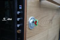 意大利DI.BI.进口极简装甲入户门项目案例