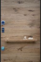 意大利DI.BI.进口极简装甲入户门项目案例