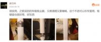 米家随手吸尘器 带来便捷人性化吸尘体验