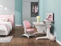 开学季特惠，给孩子选择一张西昊探索者学习桌