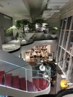 从来如此，那便对吗？先行者的逆势而为！