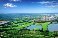 海合龙祥携手王杰克逊 央视主持人姜鑫鑫走进北海嘉和冠山海