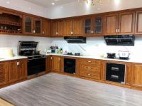 后疫情时代发力智能厨电市场,柏琳电器全新启航！