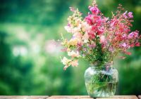 惠民泽缘名府教师节购房攻略,看看老师们给你划的重点