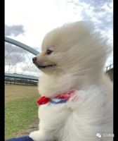 别看这会儿风和日丽,预报说:降雨!降温!北风大!