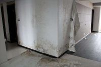 干货 | 最强装修防水攻略请收好!