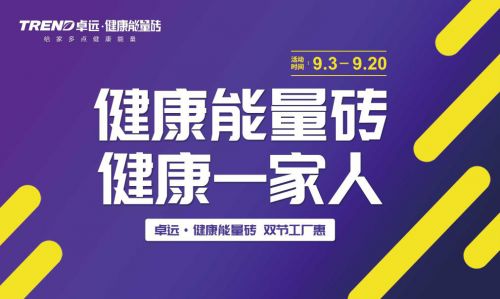 卓远·健康能量砖——一款陆毅分享的产品