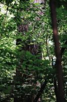 新品当红丨前进家具原木世家（Natural）乌金木系列，彰显高品位生活