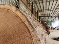 新品当红丨前进家具原木世家（Natural）乌金木系列，彰显高品位生活