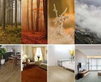 【Esta parket】为什么三层实木，成为更多人的选择